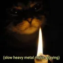 Metalcat