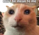 dontbemean
