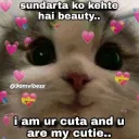 qta qt