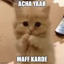 Maff kardo