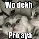 wo dekh pro aaya