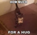 plz hug
