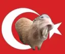 iUseThisStickerCuzFederaisBest