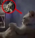 alphakitty