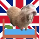 BedEngland