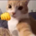 KIRRDEM