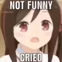 Not Funny Cried