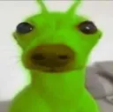 ZOOB