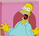 homer scream