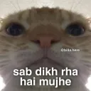 sab dikh rha
