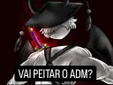 Vai peitar o adm