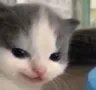 hihihihihi