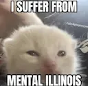 mental illinois