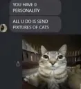 no purrsonality 
