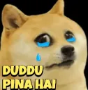 dudu