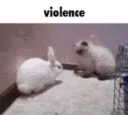 violence