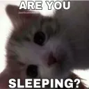 are you sleepy