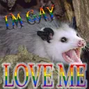 I'm gay, love me