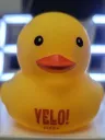 Yelo Duck