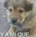 Y a mi que