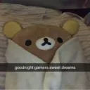 Good Night Gamers