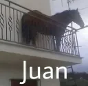 Juan
