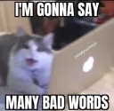 gonna say bad words