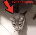 evil thoughts