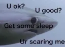 shark u ok?