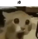 :0