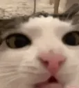 ок