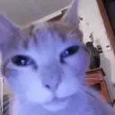 бывает