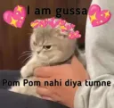 i am gussa