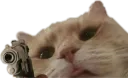 CatGun