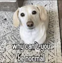 weirdo