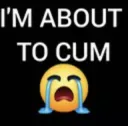 boutabust