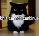 cannot_continue