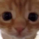 you smell