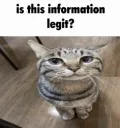 is this information legit?