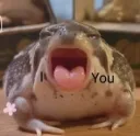 i frog u