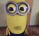 minion stare