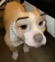 Frido eyes