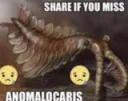 Share if you miss anomalocaris