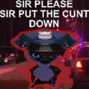 SIRPLEASE