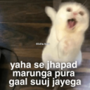 jhapad_khayega