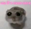 Sad Hamster