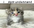 idontunderstand