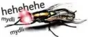 mydli mydli