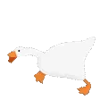 goose