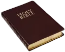 holy bible